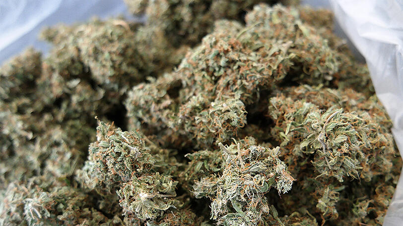 Ein Kilogramm Marihuana fand die Polizei bei einem Mann aus dem Senegal.