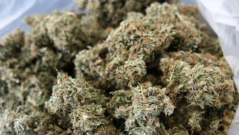 Ein Kilogramm Marihuana fand die Polizei bei einem Mann aus dem Senegal. Ein Kilogramm Marihuana fand die Polizei bei einem Mann aus dem Senegal.
