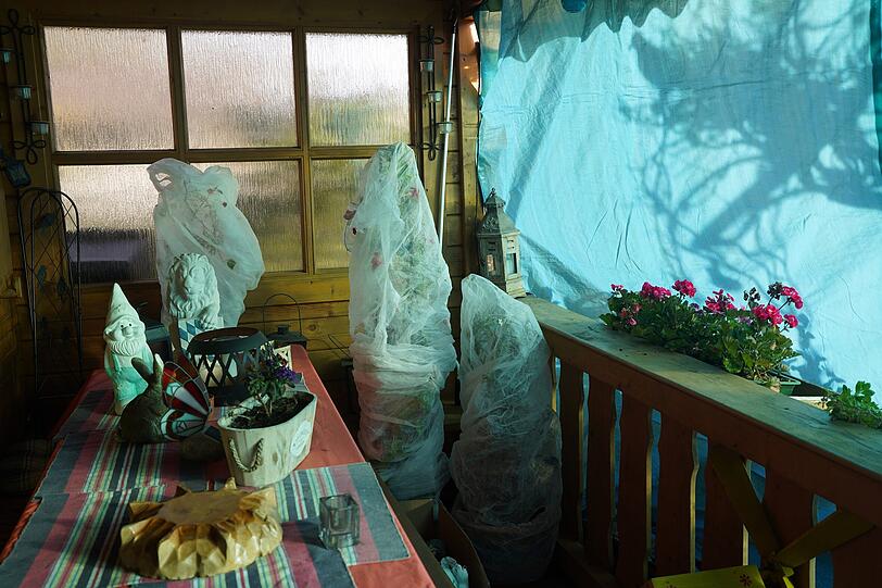 Topf-Rosen und Dipladenia wickeln die Pollingers ein und stellen sie über den Winter ins Gartenhäusl, dessen Vorbau mit einer Plane abgedeckt ist. Topf-Rosen und Dipladenia wickeln die Pollingers ein und stellen sie über den Winter ins Gartenhäusl, dessen Vorbau mit einer Plane abgedeckt ist.