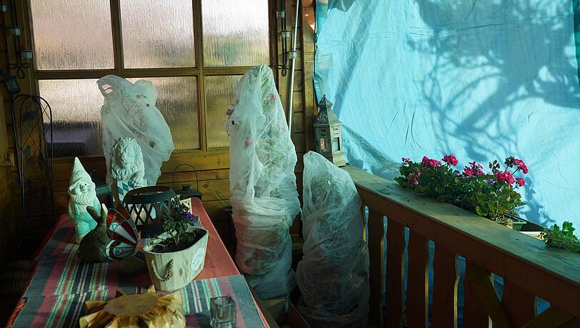 Topf-Rosen und Dipladenia wickeln die Pollingers ein und stellen sie über den Winter ins Gartenhäusl, dessen Vorbau mit einer Plane abgedeckt ist. Topf-Rosen und Dipladenia wickeln die Pollingers ein und stellen sie über den Winter ins Gartenhäusl, dessen Vorbau mit einer Plane abgedeckt ist.