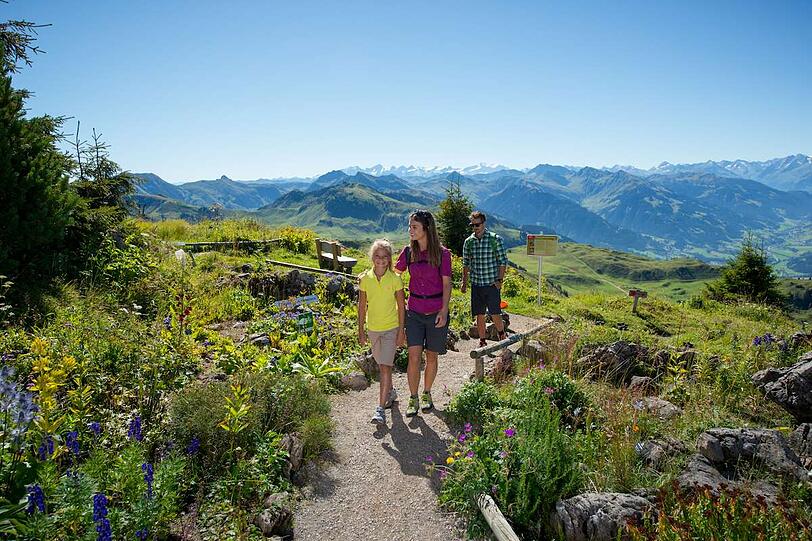 Im Alpenblumengarten lassen sich Blumen aus aller Welt entdecken.