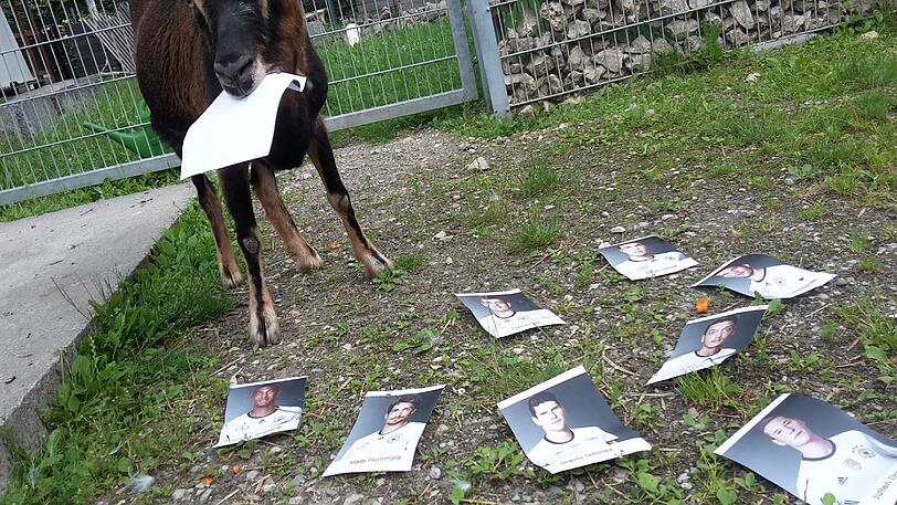 ... und frisst es auf! Wenn das kein Liebesbeweis ist...