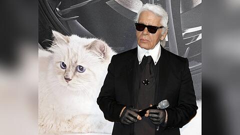 Karl Lagerfelds Katze Choupette könnte zur Met Gala kommen.