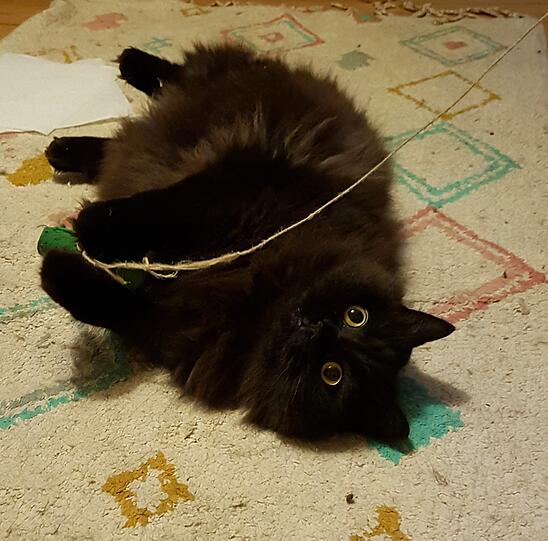 Fuffy