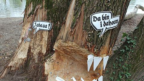Gottfried Otto hat humorvolle Biberspuren entdeckt.