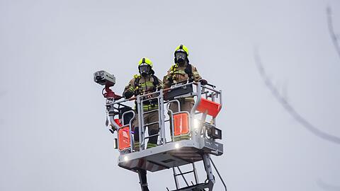 Trotz Drehleiter der Feuerwehr blieb die Katze der Frau verschwunden. (Symbolbild)
