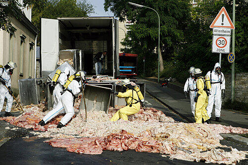 Feuerwehrmänner mit schwerem Atemschutz bergen die Alu-Behälter, aus denen sich das Ekel-Fleisch auf die Straße ergossen hat.