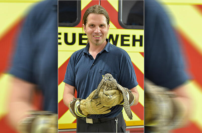 Der gerettete Turmfalke mit einem Feuerwehrmann.