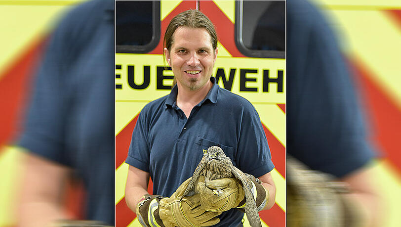 Der gerettete Turmfalke mit einem Feuerwehrmann. Der gerettete Turmfalke mit einem Feuerwehrmann.