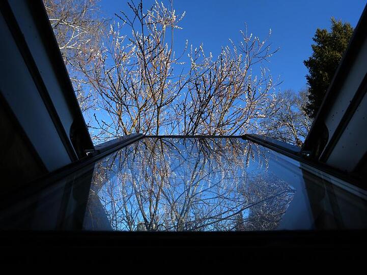Palmkätzchen vor blauem Himmel spiegeln sich im offenen Dachfenster eines Hauses. Foto: Karl-Josef Hildenbrand/dpa