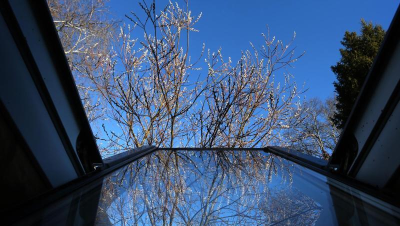Palmkätzchen vor blauem Himmel spiegeln sich im offenen Dachfenster eines Hauses. Foto: Karl-Josef Hildenbrand/dpa