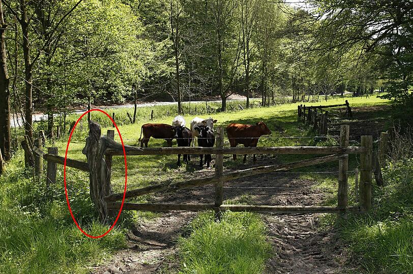 Hätten Sie die Nackte gefunden? Klicken Sie durch die Bilderrätsel.