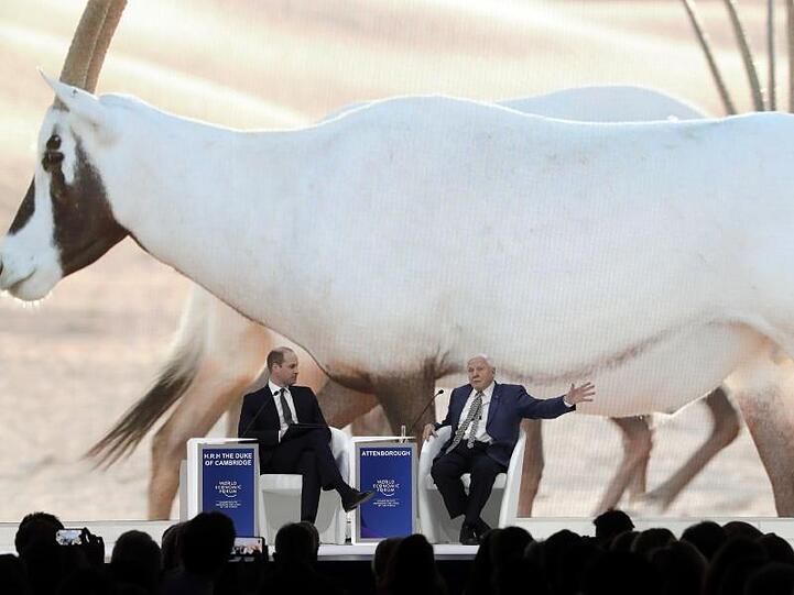 Prinz William (l) und der britische Naturforscher Sir David Attenborough sprechen auf dem Podium in Davos miteinander.