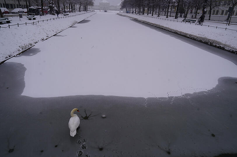 Ein aktuelles Foto vom Mittwoch: Der teilweise vereiste Kanal am Nymphenburger Schlosspark.