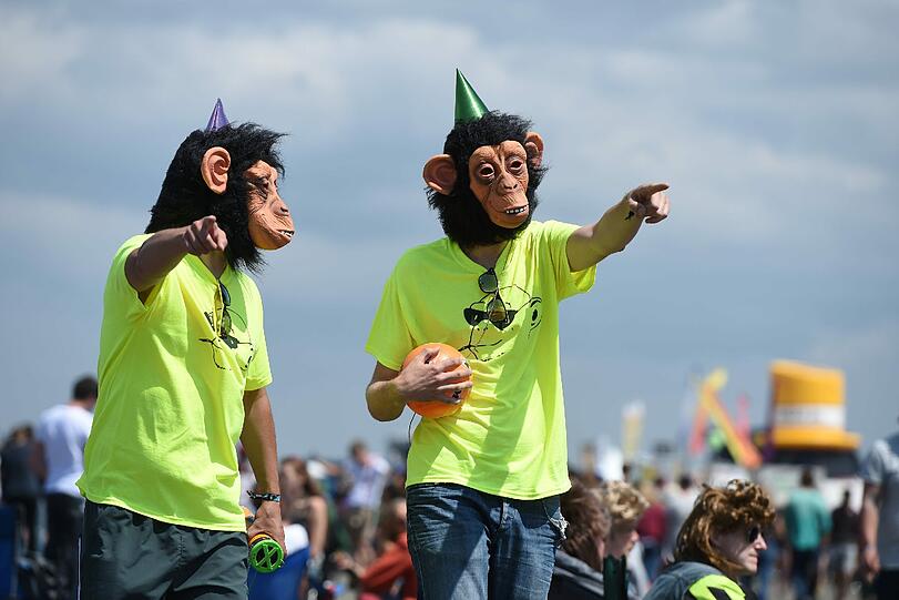 Die Festivalbilder vom Southside 2014