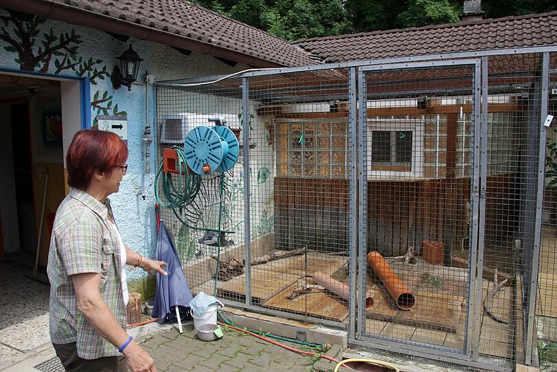 Auch das Kleintierhaus muss abgerissen werden. Das Wasser hat den Boden gewellt und die Statik aus dem Gleichgewicht gebracht.