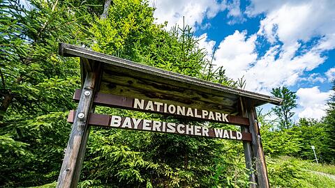 "Nationalpark Bayerischer Wald" steht auf einem Schild.