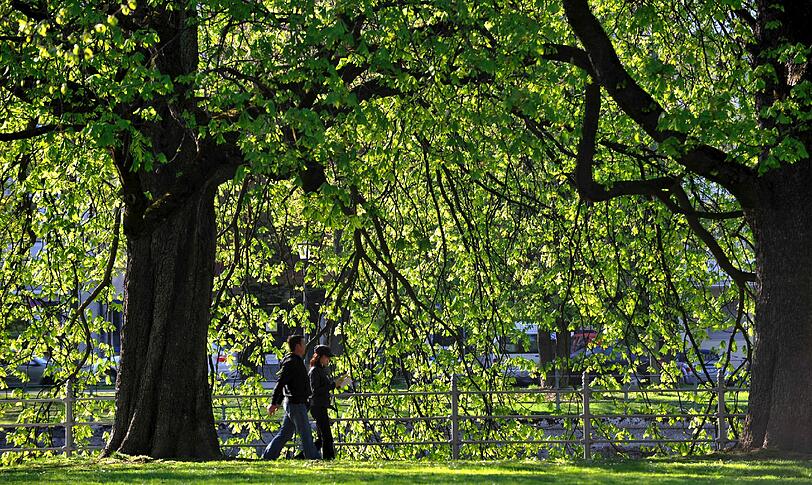 In den Münchner Parks, wie hier im Englischen Garten, lassen sich die Menschen die Sonne auf den Bauch scheinen.