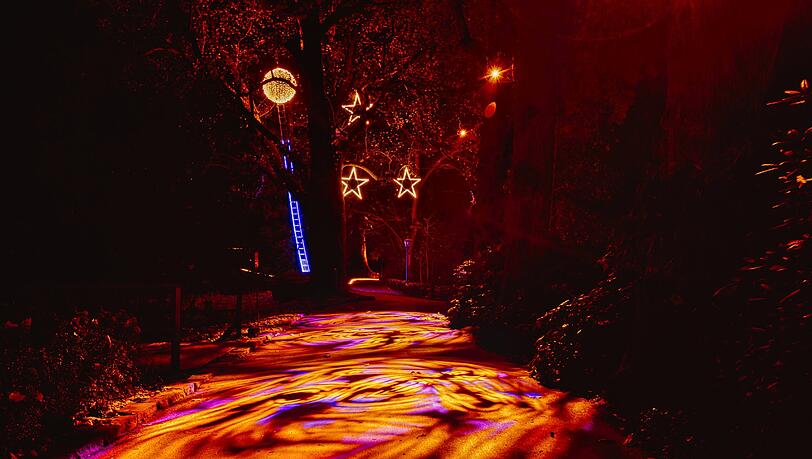 Millionen von Lichtpunkten verwandeln den Zoo in eine märchenhafte Kulisse – perfekt, um gemeinsam mit Familie und Freunden in Weihnachtsstimmung zu kommen.
