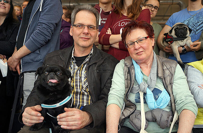Herrchen Jürgen Schulz und Frauchen Elfriede: "Unser Mops Caruso ist so lieb und unheimlich anhänglich. Wir haben ihn nach dem Sänger Caruso benannt. Außerdem ist unser Hund verspielt und ganz treu."