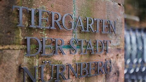 In Nürnberg sind rund 50 Vogelarten von strengen Schutzmaßnahmen betroffen. (Archivbild)