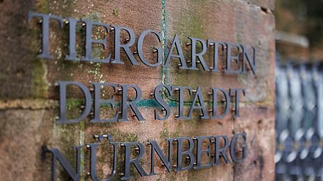 In Nürnberg sind rund 50 Vogelarten von strengen Schutzmaßnahmen betroffen. (Archivbild)
