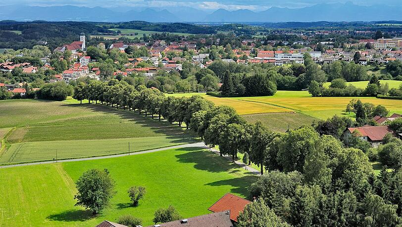 Der Blick vom Aussichtsturm auf der Ludwigshöhe: Die Heldenallee markiert den Rückweg der Tour. Der Blick vom Aussichtsturm auf der Ludwigshöhe: Die Heldenallee markiert den Rückweg der Tour.