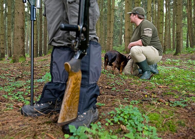 Dabei immer griffbereit: Das Betäubungsgewehr. Dagegen nie zu greifen: Kuh Yvonne!