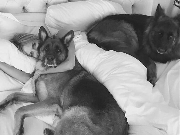 So kuschelt Heidi Klum morgens mit ihren beiden Schäferhunden