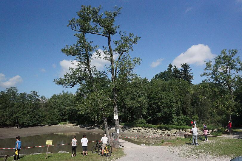 Bilder vom Badesee: Wo ist die Alligator-Schildkröte vom Oggenrieder Weiher?