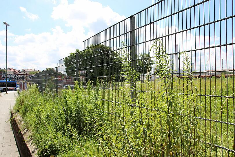 Auf der Brache gegenüber vom Viehhof soll das neue Kulturzentrum für die Bezirke Isarvorstadt und Ludwigsvorstadt entstehen.