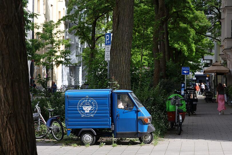 Schöne, alte Schattenspender in der Frundsbergstraße.