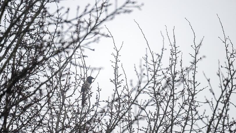 Das Wetter in Bayern bleibt tr&uuml;b. (Archivbild)
