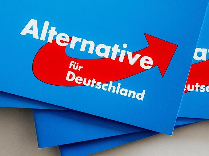 Das Logo der Alternative für Deutschland (AfD) auf Parteibroschüren.