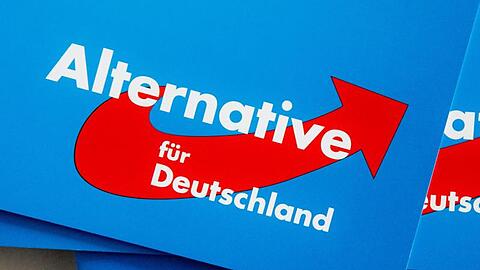 Das Logo der Alternative für Deutschland (AfD) auf Parteibroschüren.