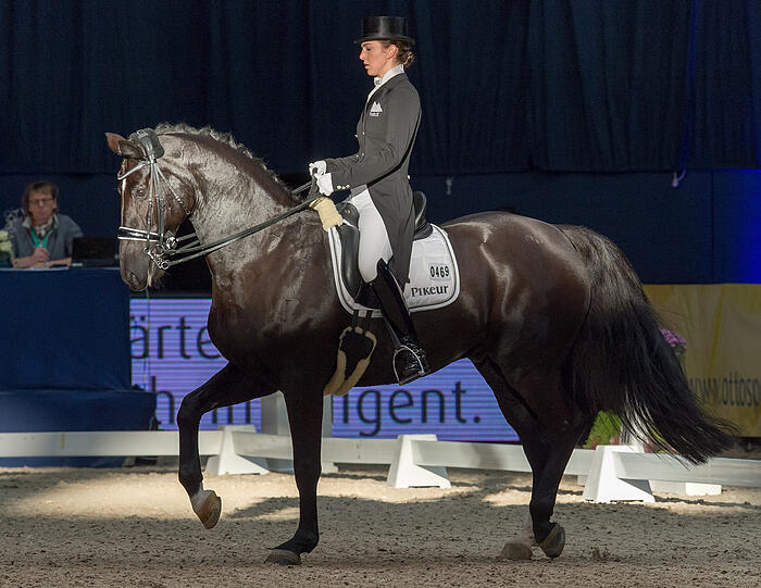 Bei den Munich Indoors musste Lisa Müller jedoch alleine mit Pferd Dave antreten.