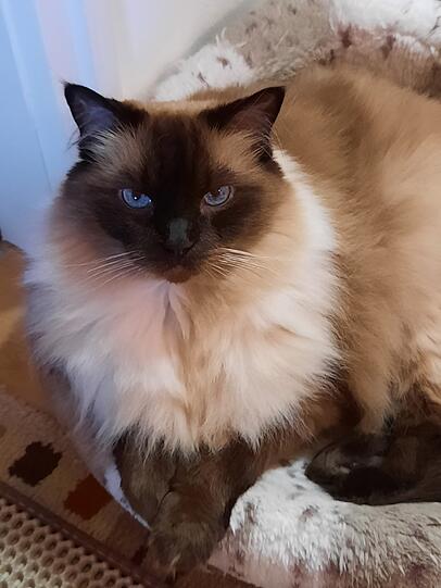 Oliver