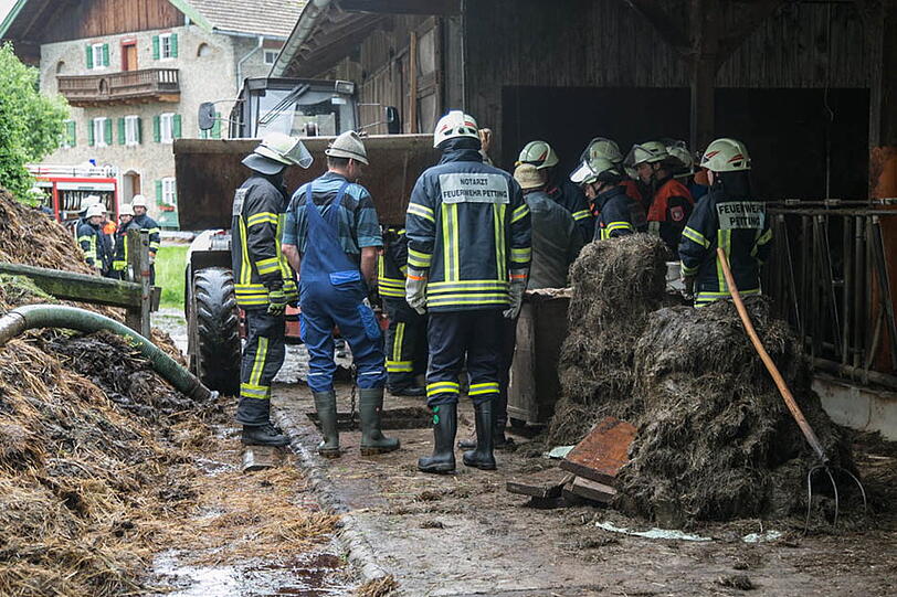 Eine Kuh in Petting musste von der Feuerwehr aus der Güllegrube gehievt werden. Die Bilder.