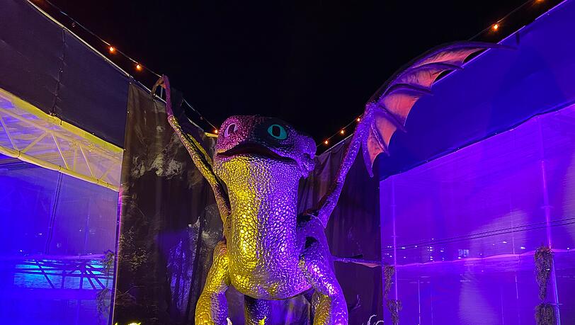 Dieser kleine Drache begrüßt die Gäste direkt am Eingang. Direkt putzig schaut er aus. Dieser kleine Drache begrüßt die Gäste direkt am Eingang. Direkt putzig schaut er aus.