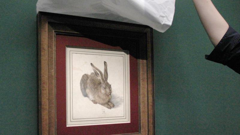 Dürers "Feldhase" in der Albertina. Dürers "Feldhase" in der Albertina.