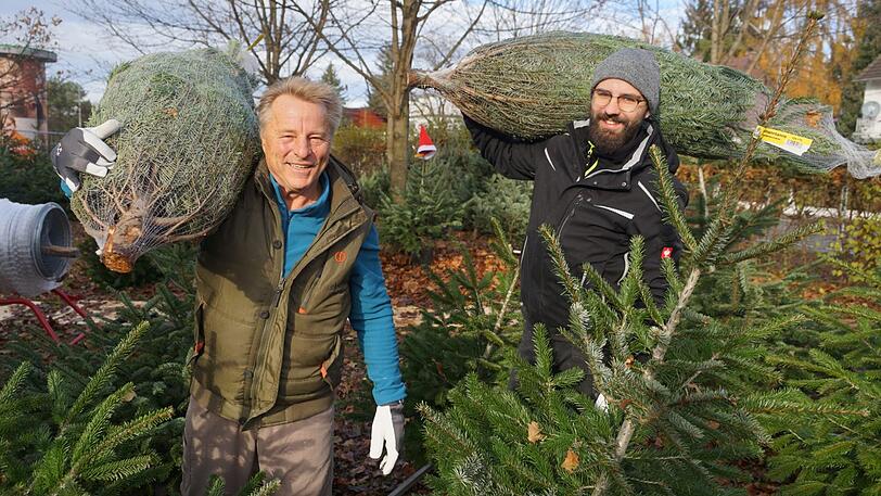 Rupert Bauer und sein Sohn Markus haben satte Weihnachtsbäume und einen satten Rabatt für AZ-Leser.