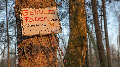 Geduld war im ersten Lockdown und den nachfolgenden nötig. Aber in München hat sich auch gezeigt: Sie Menschen wissen sich in der ersten Lage zu helfen, vor allem gegenseitig. In der AZ erinnern sich die Redakteure an die Ausnahmesituation – hier ein Bild aus dem Neubiberger Forst.
