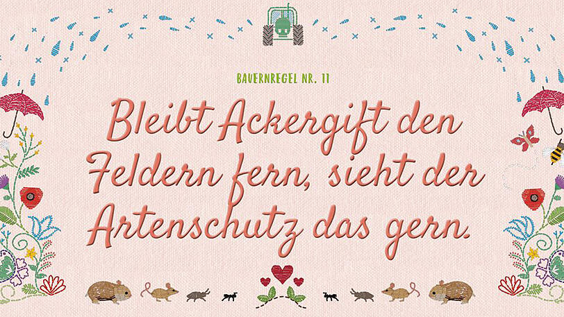 Streit um die "neuen Bauernregeln" von Umweltministerin Hendricks.