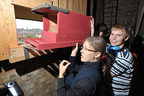 Helfen den Turmfalken: Die &bdquo;Nature Rangers&ldquo;, eine Jugendgruppe vom Nürnberger Bund Naturschutz, haben Nistkästen gezimmert und am Freitag im Turm der St. Martin-Kirche in der Nordstadt aufgehängt.