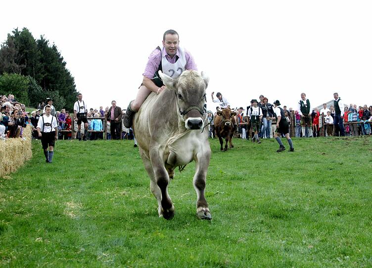 1996 war das Münsinger Ochsenrennen eine beschauliche Gaudi für die Landwirte aus der Gegend. Jetzt sind rund 10.000 Besucher gekommen. Wie Olympia und die Fußball-WM findet auch dieses sportliche Großereignis nur alle vier Jahre statt. Wir waren dabei. Die Bilder von der Gaudi
