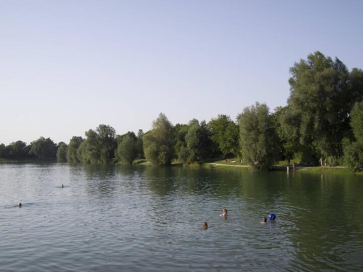Rund um den Heimstettener See gibt es viel alten Baumbestand.