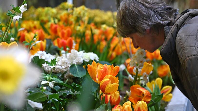 Die Besucherzahl auf der diesj&auml;hrigen Woche &uuml;bertraf die Erwartungen deutlich. (Archivbild)