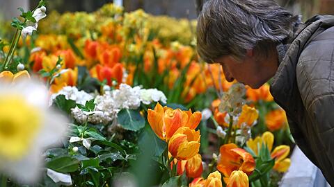 Die Besucherzahl auf der diesj&auml;hrigen Woche &uuml;bertraf die Erwartungen deutlich. (Archivbild)