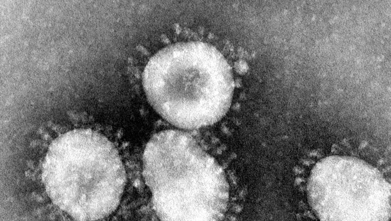 Ein Coronavirus unter dem Mikroskop. Foto: Center for Disease Control/epa/dpa/Archivbild Ein Coronavirus unter dem Mikroskop. Foto: Center for Disease Control/epa/dpa/Archivbild