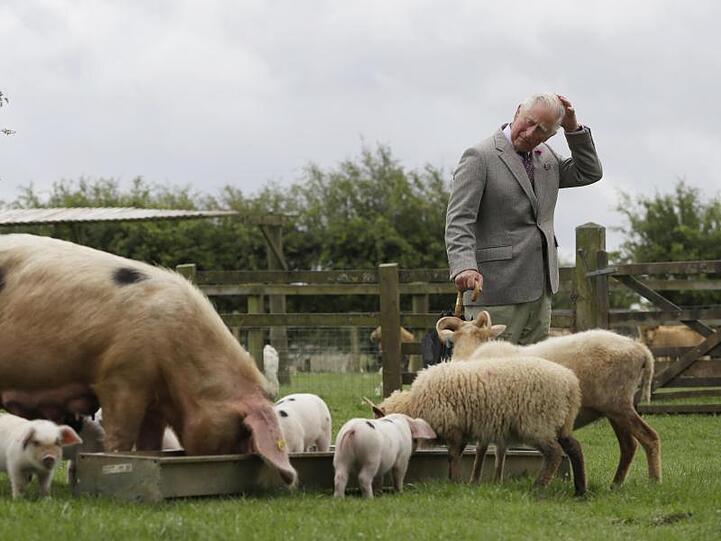 Prinz Charles ist in Großbritannien einer der Pioniere der ölologischen Landwirtschaft.